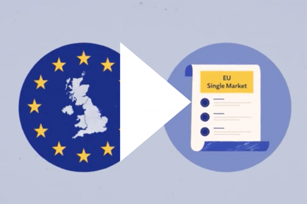 Screenshot of video: Brexit and devolution