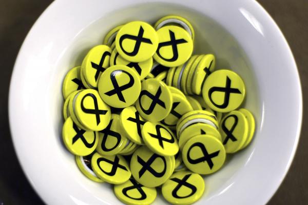 SNP numbers at Westminster